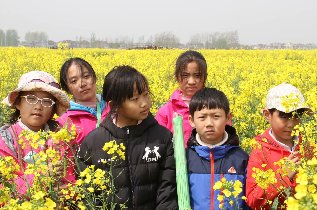 青岛拓展训练，油菜花园里面的别有洞天